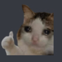 sad_cat Discord emoji