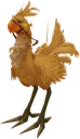 chocobo