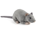 ratN Discord emoji