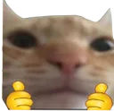 FR0GE_ThumbsUp2