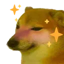 ShibaBlush