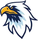 eagle2