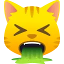 cat_vomit