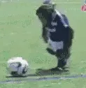 monke_football
