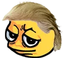 trumwellp