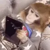 monke_distracted