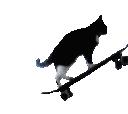 skatecat