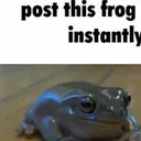 instantfrog Discord Emoji