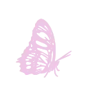 fb_butterfly