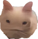 face_of_disappointment