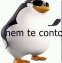 nemteconto Discord emoji