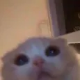 hiyahhhhhewoooohiii