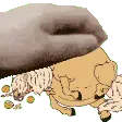 pattherubytum
