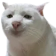 smilewaga