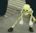 SkeleShuffle