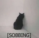 cat_in_corner Discord Emoji