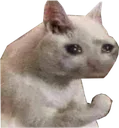ohno
