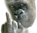 monke_finger