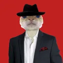 catwifhat Discord Emoji