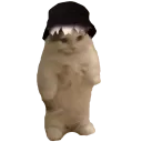LCzGuangMeow_Vio