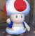 ToadHello