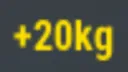 20kg