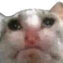 sourcat