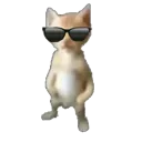 joncool