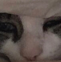 awakebutatwhatcost Discord emoji