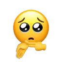 pls_sheesh