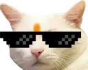 shadeCat Discord Emoji