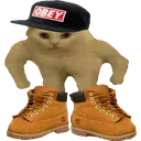 wassupdrip