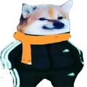 bhagwadoge