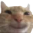 :catsmile: catsmile