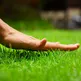touchgrass