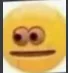 wtf_did_i_come_back_to