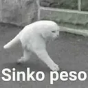 SinkoPeso SinkoPeso