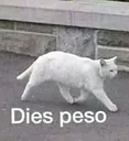 DiesPeso