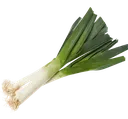leek