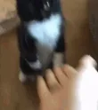 CE_HighFive CE_HighFive