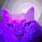 CE_Vibin2