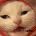 hehe_cat