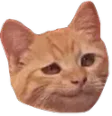 smugcat