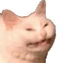 HISS