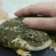 frogpat
