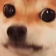 susDoge