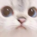 temiro