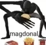 magdonal magdonal