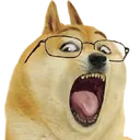 soydog
