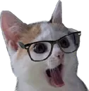 soycat2 Discord Emoji